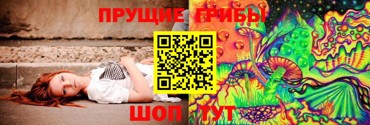 Псилоцибиновые грибы прущие грибы Карталы
